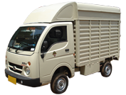 Tata ace delivery sales van